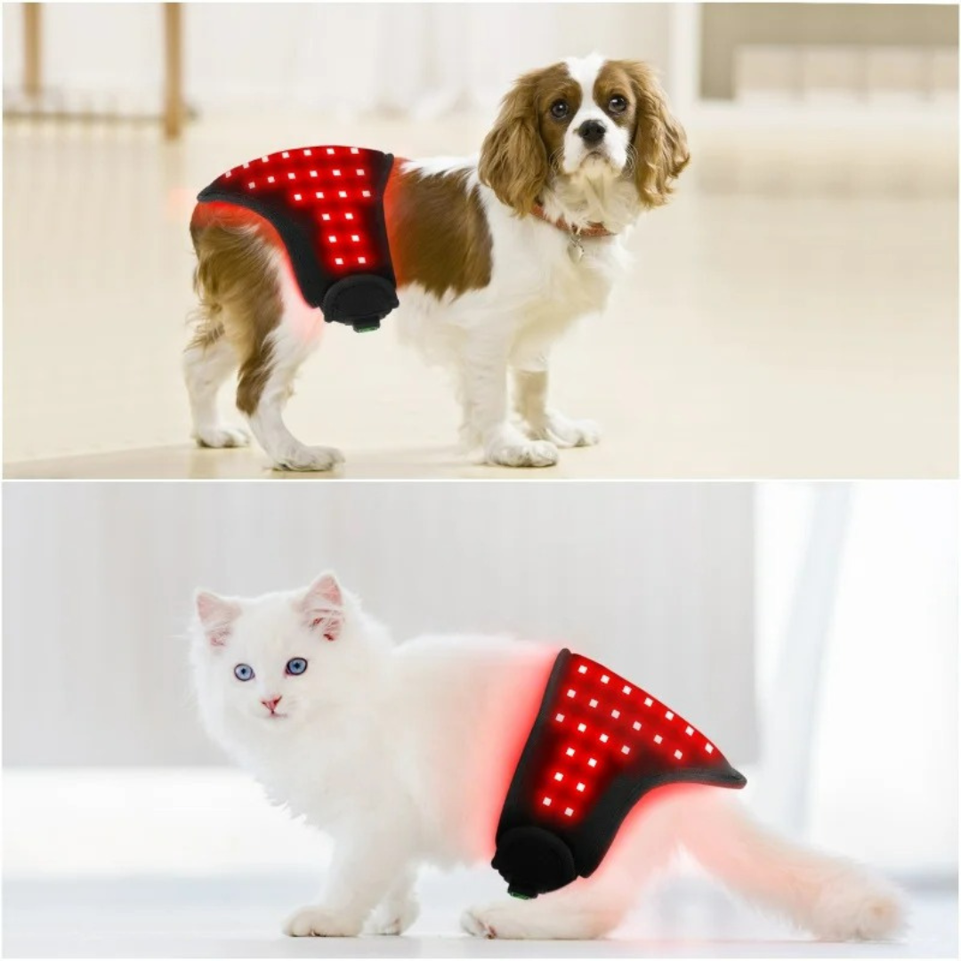 Red Infrared Light Therapy Mat for Pets