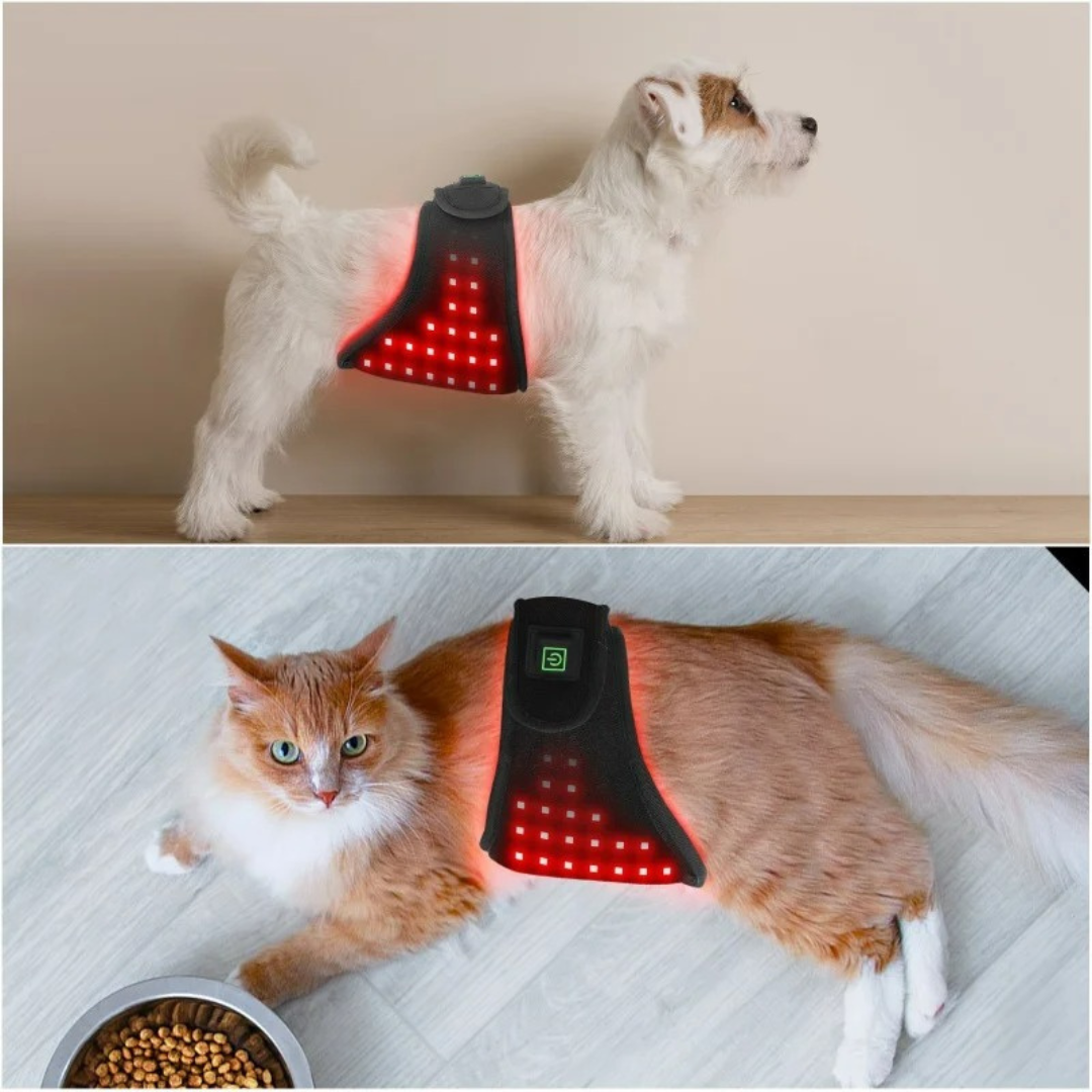 Red Infrared Light Therapy Mat for Pets