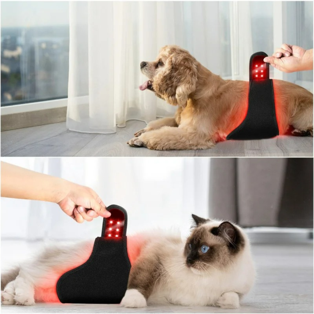 Red Infrared Light Therapy Mat for Pets