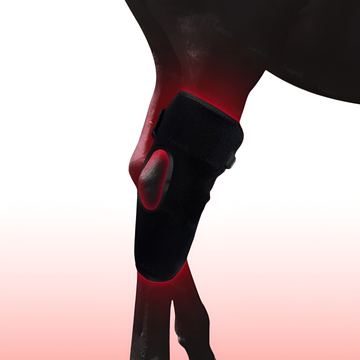 Equine Red Light Therapy Hock Wrap – Infrared Horse Joint Pain & Inflammation Relief