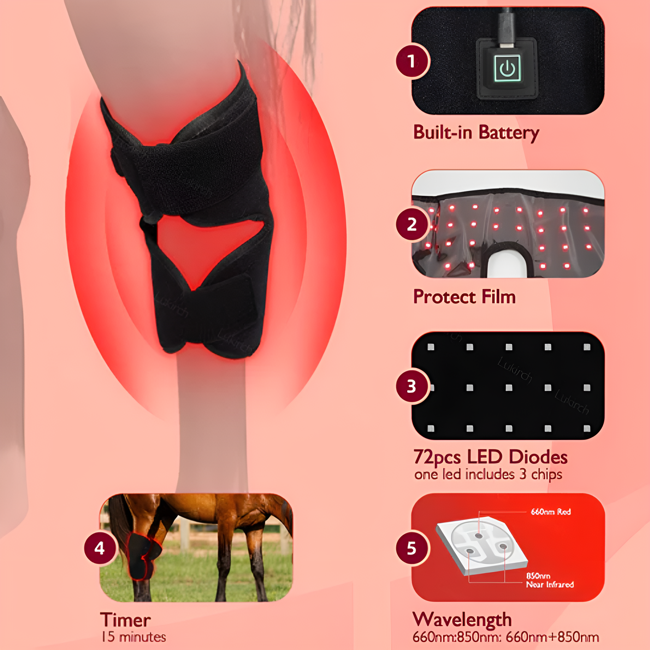Equine Red Light Therapy Hock Wrap – Infrared Horse Joint Pain & Inflammation Relief