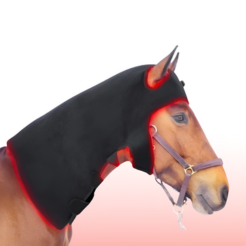 Equine Red Light Therapy Neck Wrap – Full Coverage from Poll to Withers for Muscle & Tension Relief
