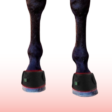 Equine Red Light Therapy Hoof Wrap – Infrared Healing for Laminitis, Abscesses & Hoof Circulation