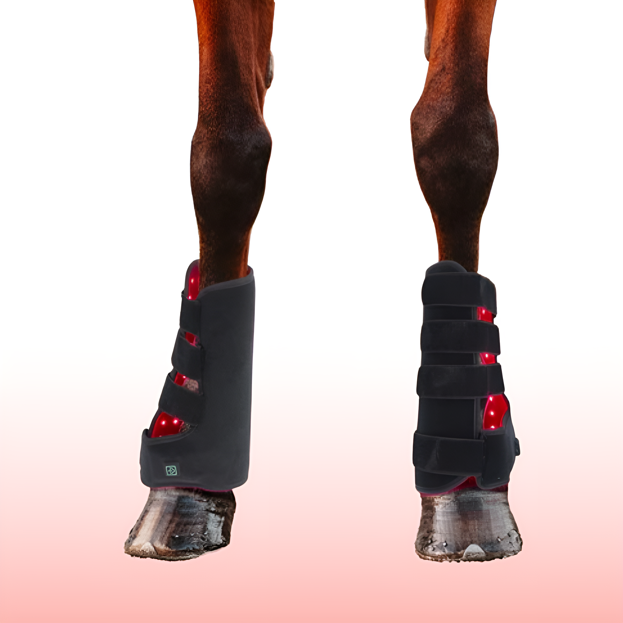 2PCS Equine Red Light Therapy Leg Wrap – Infrared Tendon, Joint & Inflammation Relief for Horse Legs