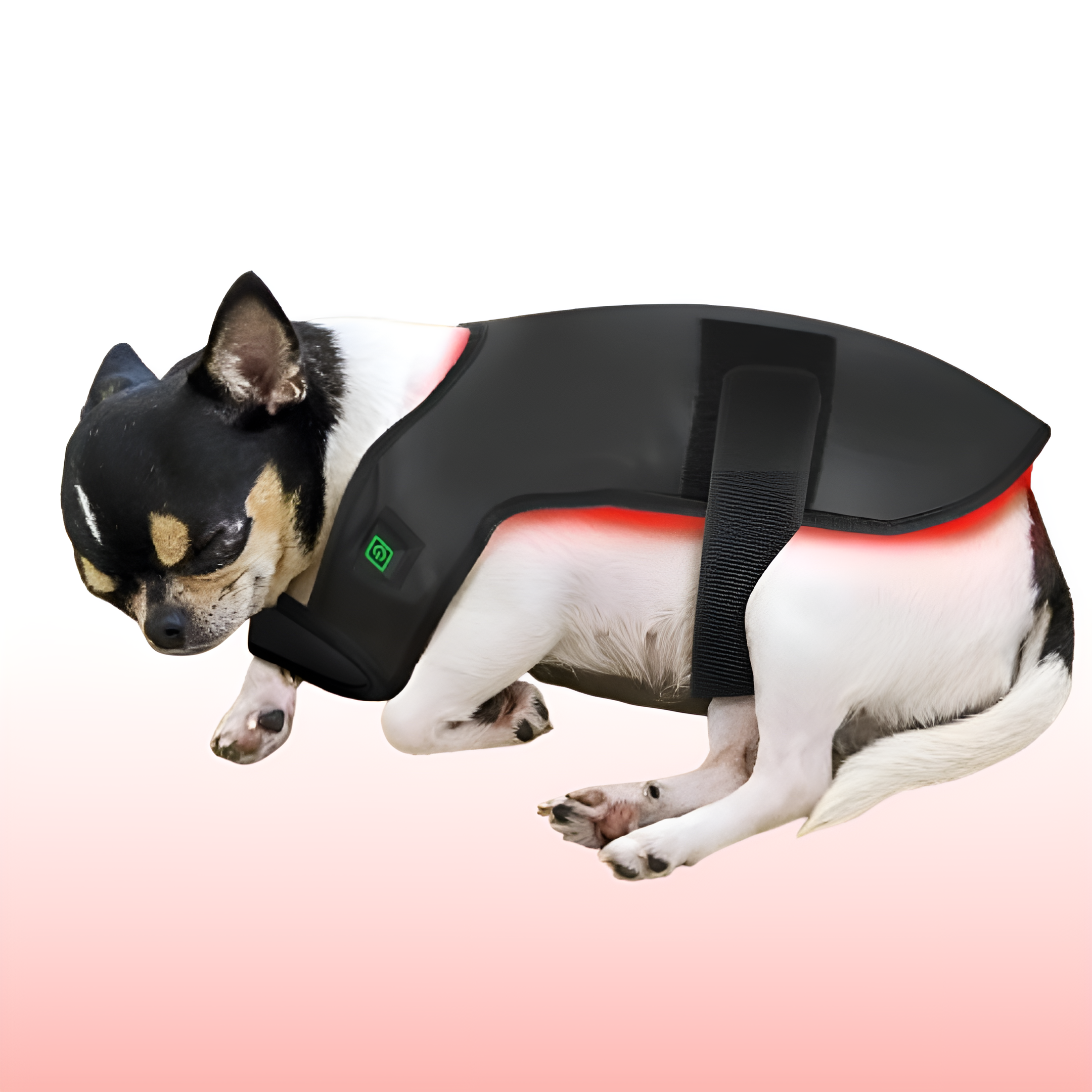 Wearable Red Light Therapy Coat for Pets – Full-Body Infrared Pain Relief for Dogs & Cats