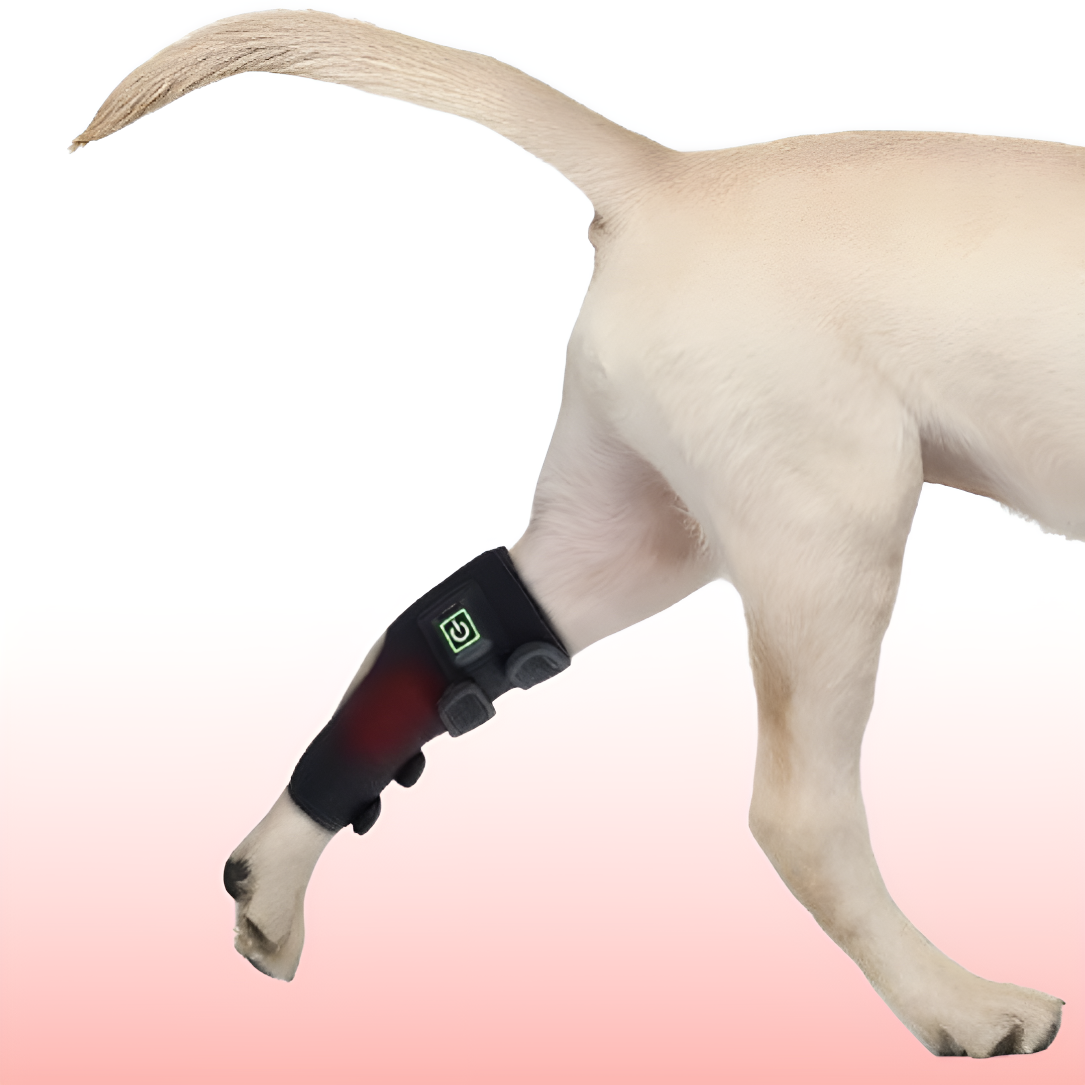 (2 PCS) Red Light Therapy Leg Wrap for Pets – Infrared Pain Relief for Dogs & Cats with Arthritis or Injury