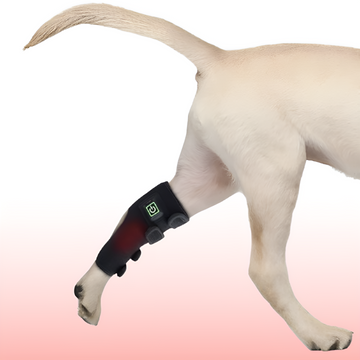 Red Light Therapy Leg Wrap for Pets – Infrared Pain Relief for Dogs & Cats with Arthritis or Injury