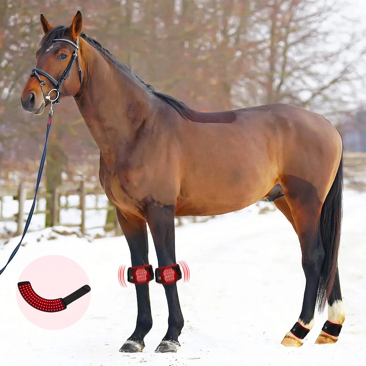 2PCS Equine Red Light Therapy Hoof Wrap – Infrared Healing for Laminitis, Abscesses & Hoof Circulation