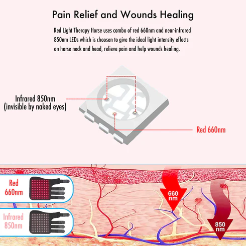 2PCS Equine Red Light Therapy Leg Wrap – Infrared Tendon, Joint & Inflammation Relief for Horse Legs
